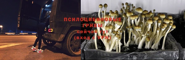 СК Абдулино