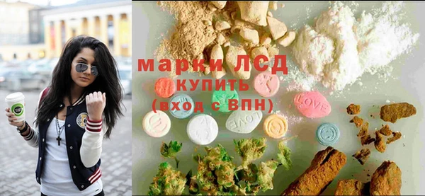 сатива Абинск
