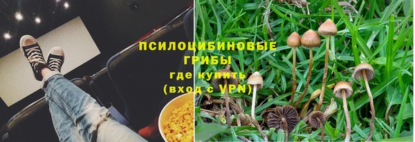 спиды Алзамай