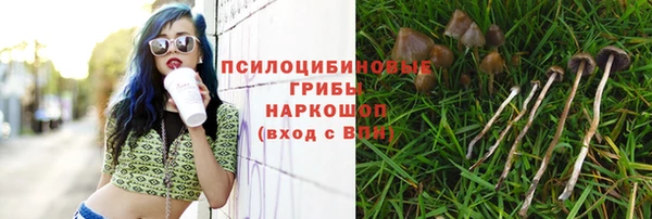 СК Абдулино