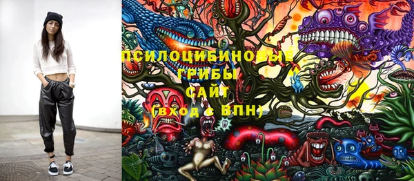 сатива Абинск