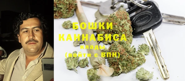 сатива Абинск