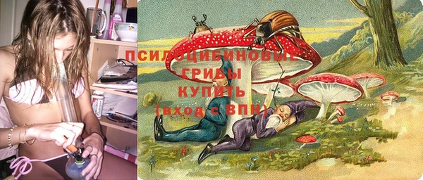 прущий лед Абаза