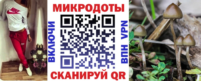 ОМГ ОМГ рабочий сайт  Благовещенск  Галлюциногенные грибы Psilocybine cubensis 